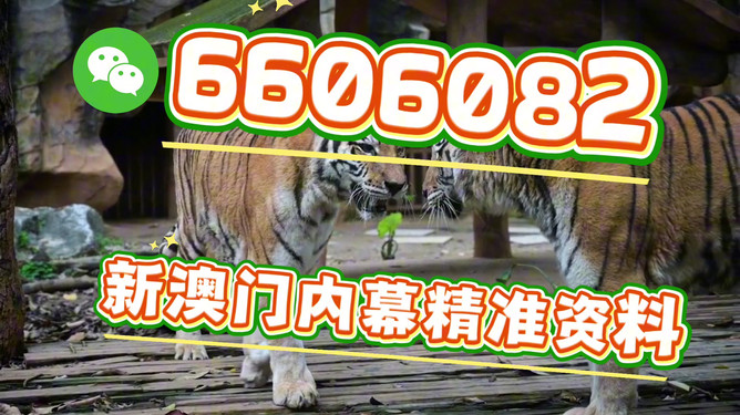 澳門今晚必開一肖一特，探索生肖彩票的魅力與預測，澳門生肖彩票探索，魅力揭秘與今晚預測一肖一特