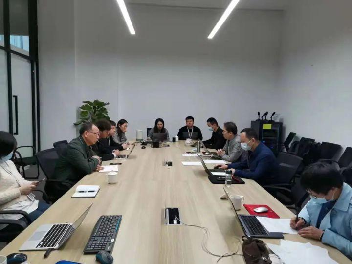 隆平高科股票股，投資潛力與市場前景分析，隆平高科股票投資潛力與市場前景深度解析