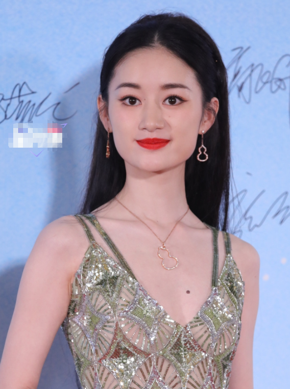 倪萍的歲數(shù)，歲月見(jiàn)證傳奇人生的歷程，倪萍的傳奇人生，歲月見(jiàn)證年齡與魅力
