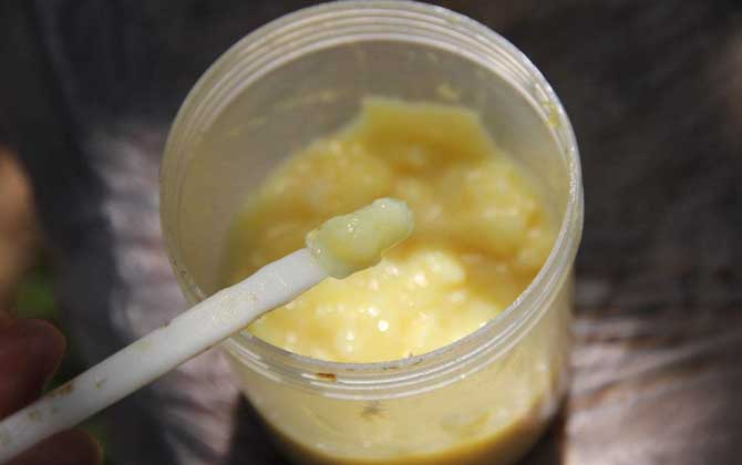 蜂王漿，功效、作用及食用方法詳解，蜂王漿，功效、作用及食用方法全面解析