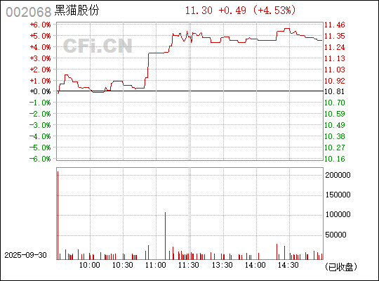 深入了解，關(guān)于股票代碼中的秘密——002068，揭秘股票代碼中的秘密，002068深度解析