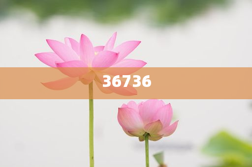 揭秘7777788888精準(zhǔn)新傳真，真相大揭秘，揭秘精準(zhǔn)新傳真背后的真相，77777與88888的神秘面紗被揭開