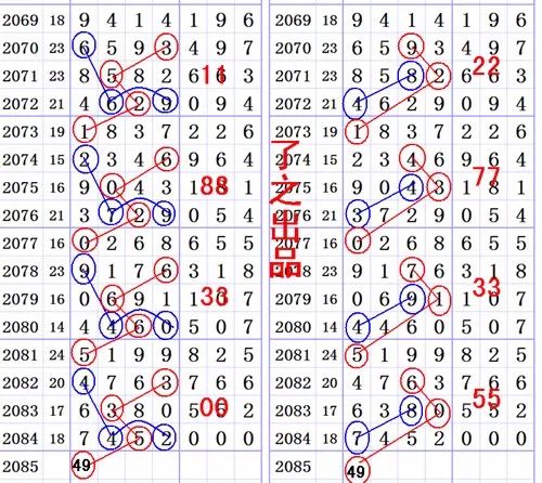 一肖一尾幾組二中二——揭秘生肖與數(shù)字之間的神秘聯(lián)系，揭秘生肖與數(shù)字間的神秘聯(lián)系，一肖一尾組合中二中二現(xiàn)象解析