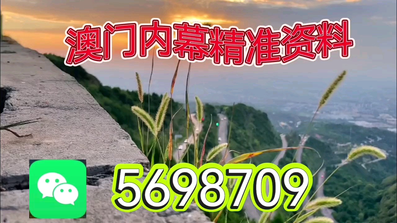 新澳天天開彩資料大全，探索彩票世界的奧秘，探索彩票世界奧秘，新澳天天開彩資料大全