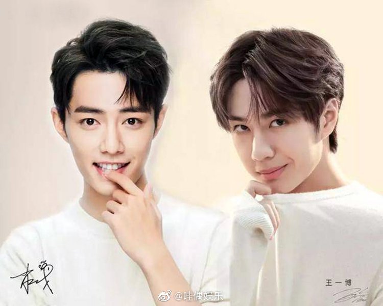 王中王一肖資料深度解析，一探究竟，王中王一肖資料深度解析，揭秘真相