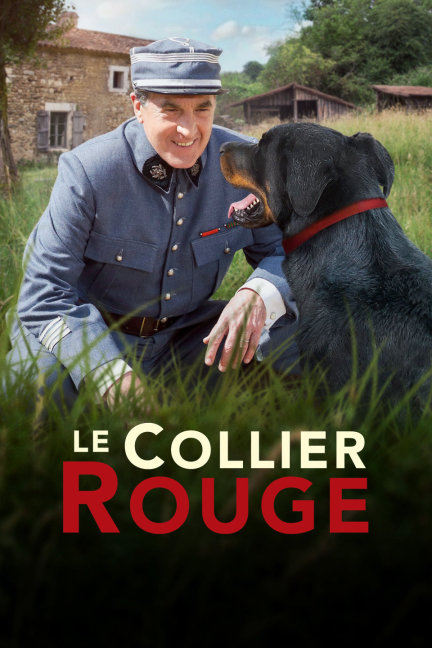 四不像王中王必中一肖