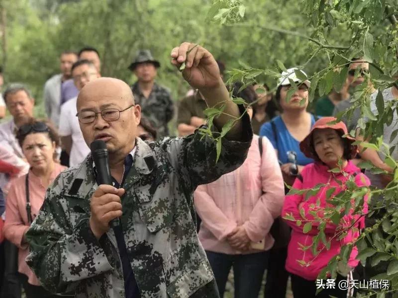 長(zhǎng)期吃紅棗的潛在害處，了解并平衡飲食健康，長(zhǎng)期食用紅棗的潛在風(fēng)險(xiǎn)與飲食平衡的重要性