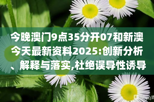 新澳今天最新資料，深度解讀與探索，新澳今日深度解讀與探索最新資料