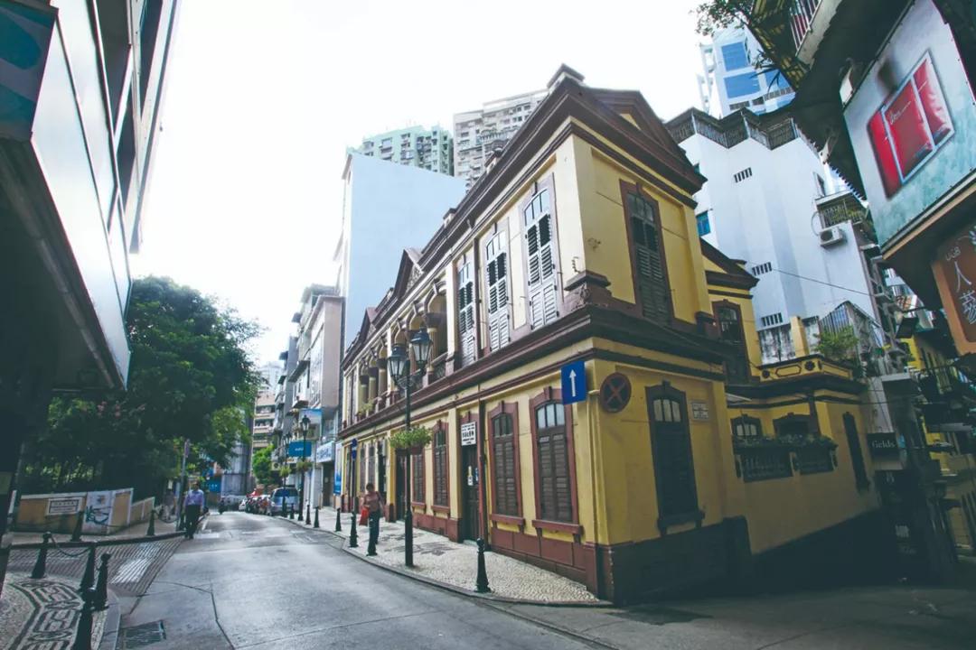 澳門三期內(nèi)必開一肖——揭秘生肖彩票的奧秘，揭秘澳門生肖彩票三期必開一肖的神秘面紗