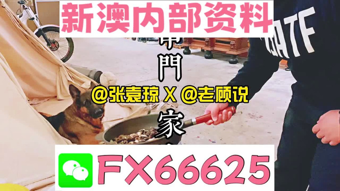 澳門管家婆資料正版大全——全面解析與深度探索，澳門管家婆資料正版大全，全面解析與深度探索指南