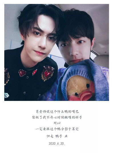 王中王一肖中特一肖精準預測——揭秘生肖運勢與未來展望，揭秘生肖運勢預測，王中王一肖精準預測未來展望