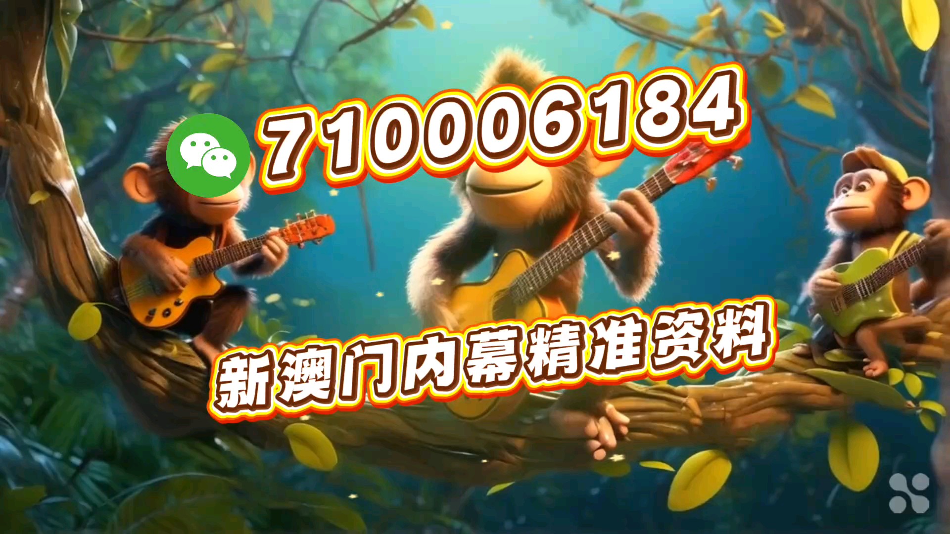 一肖一馬王中王一馬中特的奧秘與探索，一肖一馬王中王，揭秘馬中特的奧秘與探索之旅