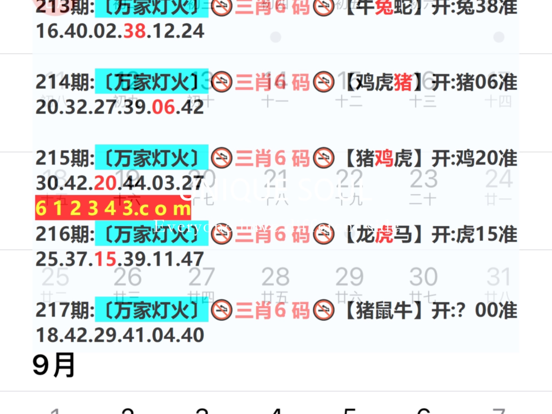 全方位解讀與預(yù)測
