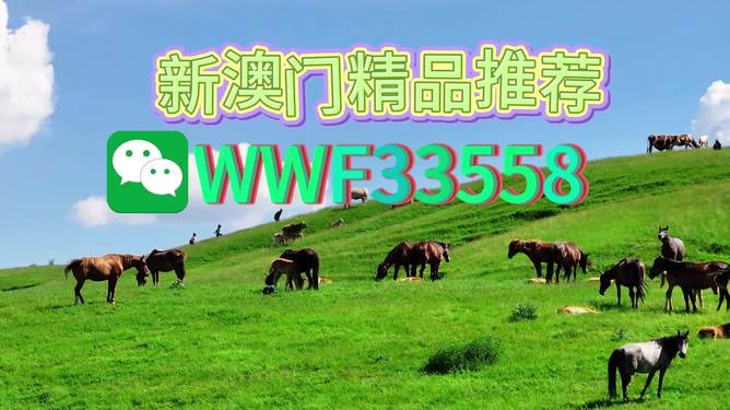 揭秘精準預測一肖的秘密，解碼77777與88888的神秘數(shù)字組合，揭秘精準預測生肖的秘密，數(shù)字組合77777與88888的神秘解碼