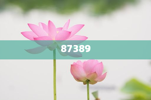 一肖是否包括特肖？深度解析生肖文化中的奧秘，深度解析生肖文化，一肖是否包含特肖？