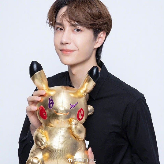 揭秘查王中王一肖中特，探尋背后的秘密，揭秘查王中王一肖中特背后的秘密真相