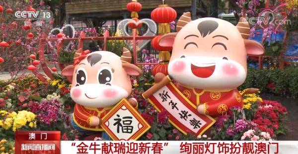 澳門金牛網(wǎng)金牛版論壇——探索與解析，澳門金牛網(wǎng)金牛版論壇，深度探索與解析