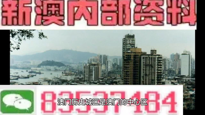 澳門免費(fèi)精準(zhǔn)大全4949，探索最新資訊與實(shí)用指南，澳門最新資訊與實(shí)用指南，免費(fèi)精準(zhǔn)大全4949