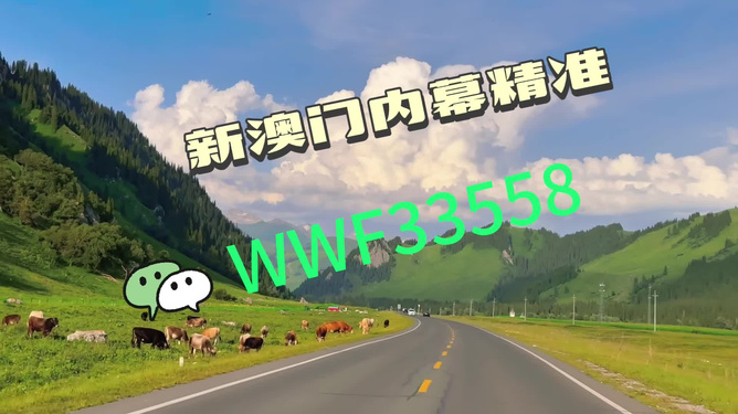 王中王一肖一馬中特一，探尋背后的秘密與獨特之處，探尋王中王一肖一馬中特一背后的獨特秘密