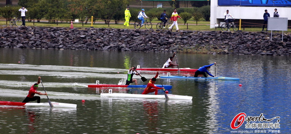 王中王選一肖一馬期期中，揭秘彩票背后的秘密策略，揭秘彩票背后的秘密策略，王中王選一肖一馬期期中之道