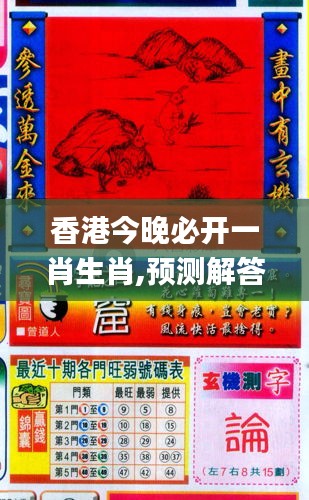 香港與彩王中王精準(zhǔn)一肖，揭秘彩票背后的秘密，揭秘彩票背后的秘密，香港與彩王中王精準(zhǔn)一肖探究