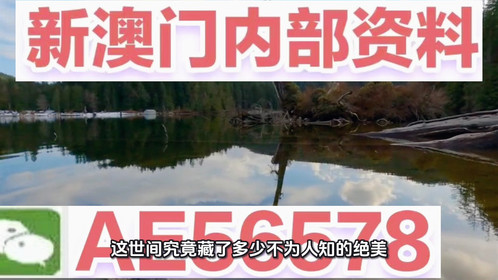 澳門精準(zhǔn)特肖，探索未來趨勢與機(jī)遇（SEO優(yōu)化文章），澳門精準(zhǔn)特肖，未來趨勢與機(jī)遇的探索（SEO優(yōu)化標(biāo)題）