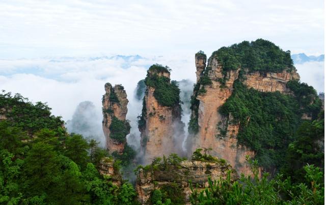 張家界森林公園簡介，自然之美的獨特呈現(xiàn)，張家界森林公園，自然之美的獨特呈現(xiàn)