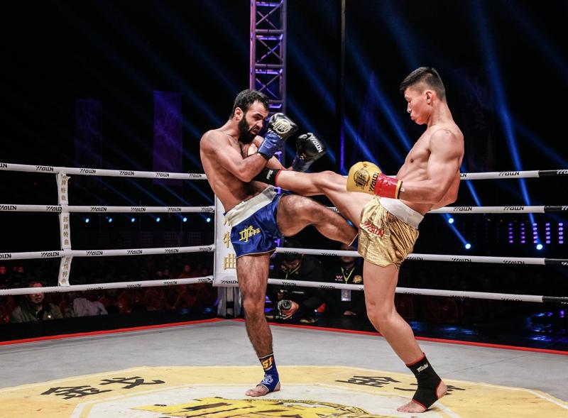 王中王網(wǎng)四肖主一碼，深度解析與SEO優(yōu)化策略，王中王網(wǎng)四肖主一碼，深度解析與SEO優(yōu)化策略全攻略