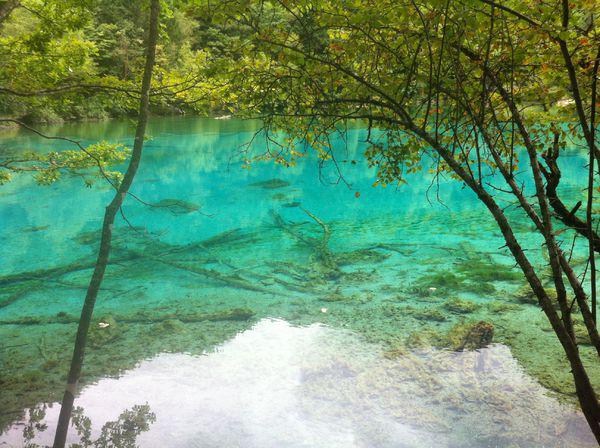 揭秘最佳旅游季節(jié)，幾月份去九寨溝旅游最好？，揭秘最佳旅游季節(jié)，揭秘幾月份去九寨溝旅游最佳體驗(yàn)？