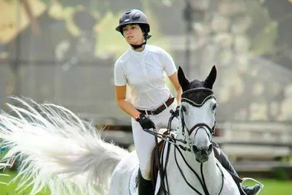 揭秘劉伯溫四肖選一碼的秘密，傳奇人物背后的故事與智慧，劉伯溫四肖選一碼揭秘，傳奇人物背后的秘密與智慧