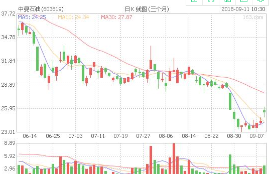 揭秘603619股票，潛力股的投資價(jià)值與前景展望，揭秘603619股票，潛力股的投資價(jià)值深度分析與前景展望