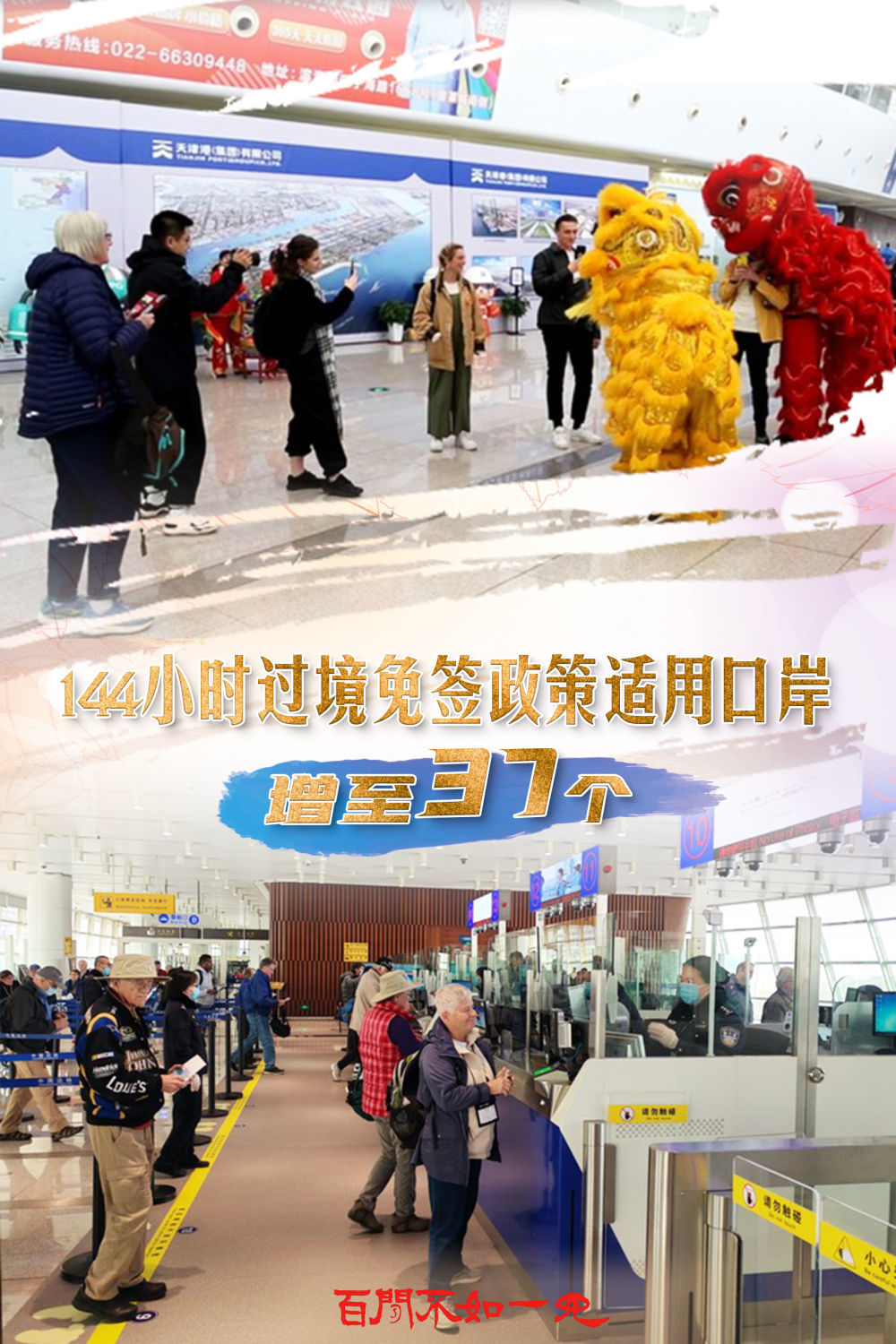 澳門王中王，揭秘一肖一特一中奧秘，澳門王中王揭秘生肖秘密，一肖一特一中奧秘探秘