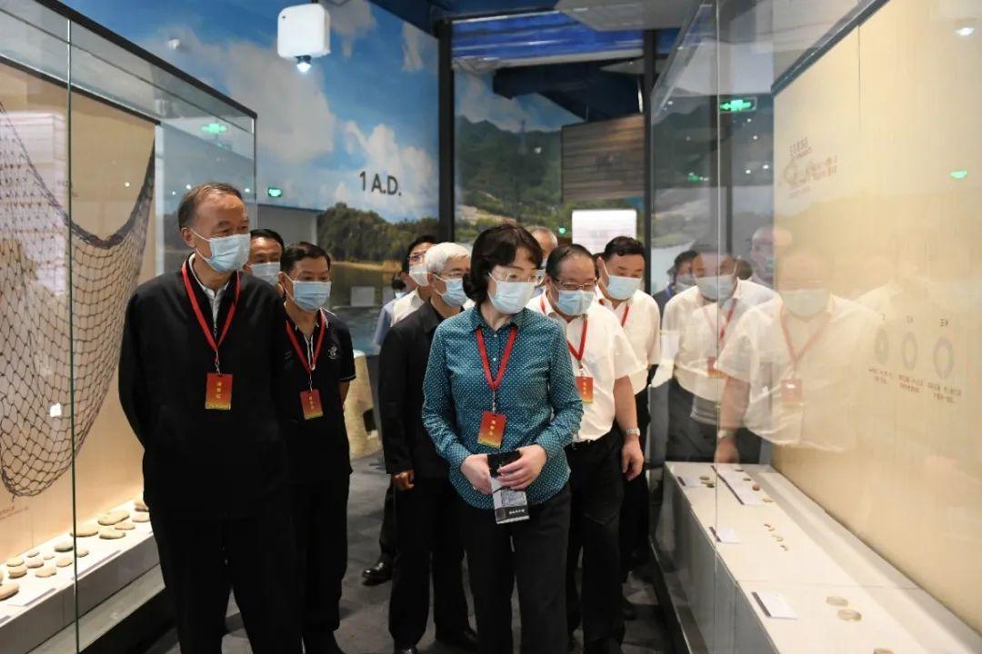 澳門今晚必開一肖掛牌，揭秘生肖運勢與博彩文化交融的神秘面紗，澳門今晚生肖運勢揭秘，博彩文化與生肖運勢交融的神秘面紗