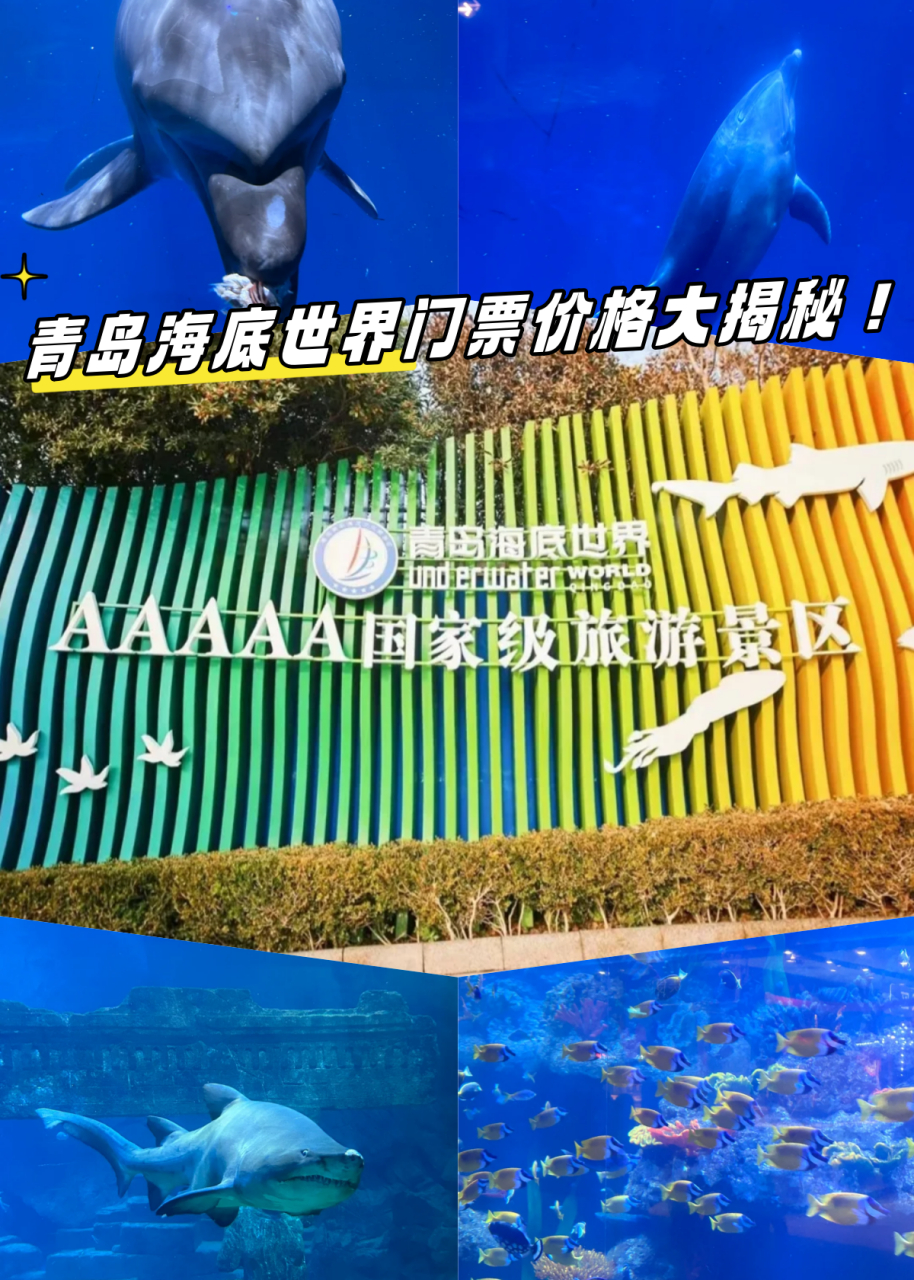 青島海底世界門票是否免費？一篇文章帶你了解全部信息，青島海底世界門票全面解析，免費與否？一篇文章告訴你答案！