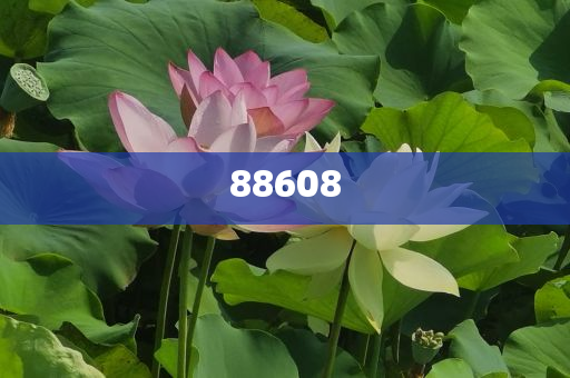 2025正版資料免費公開，獲取優(yōu)質(zhì)資源的全新時代，優(yōu)質(zhì)資源免費公開，開啟全新時代獲取優(yōu)質(zhì)資料之旅