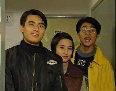 陳龍電視劇作品回顧，一部部經(jīng)典之作，陳龍經(jīng)典電視劇作品回顧，一部部鑄就傳奇的佳作