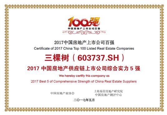 探索603737三棵樹股吧的獨特魅力與機遇，揭秘603737三棵樹股吧的獨特魅力和投資機會