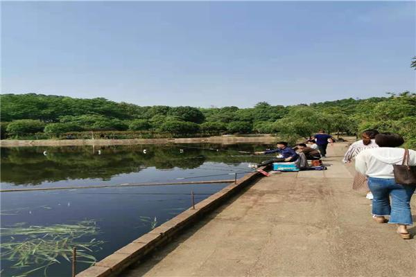 長沙市內(nèi)一日游，探尋千年古都的魅力之旅，長沙一日探秘千年古都之旅
